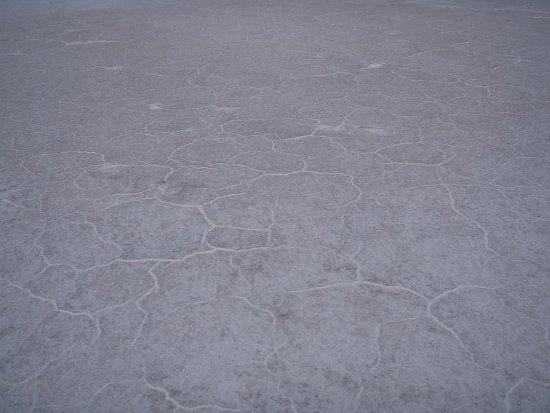 Coipasa Salt Flats (53).JPG